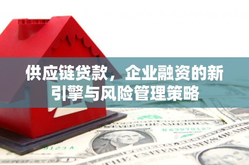 沙坡头供应链贷款，企业融资的新引擎与风险管理策略