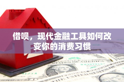 沙坡头借呗，现代金融工具如何改变你的消费习惯