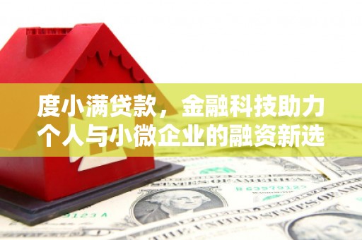 沙坡头度小满贷款，金融科技助力个人与小微企业的融资新选择