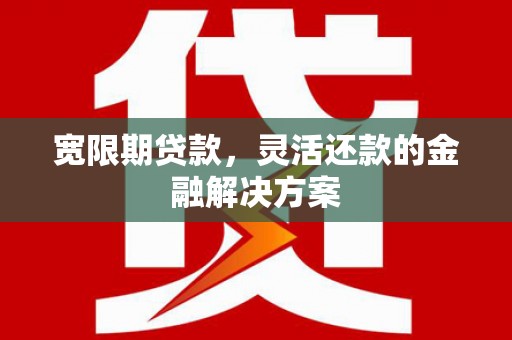 沙坡头宽限期贷款，灵活还款的金融解决方案