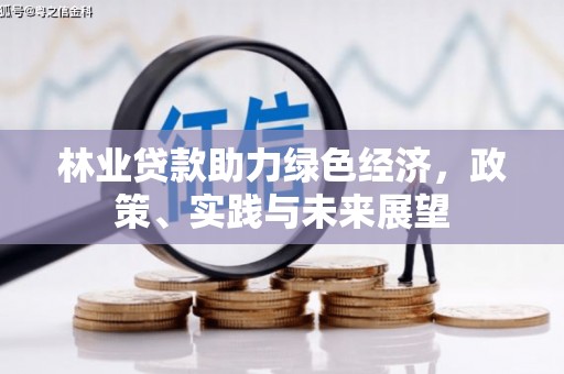 沙坡头林业贷款助力绿色经济，政策、实践与未来展望