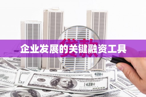 沙坡头企业发展的关键融资工具