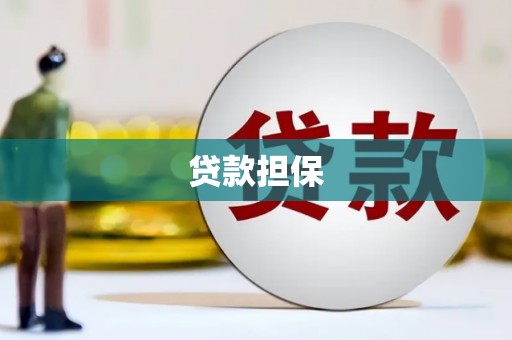 沙坡头贷款担保
