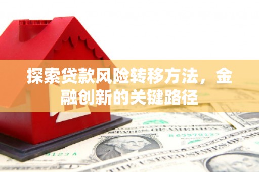 沙坡头探索贷款风险转移方法，金融创新的关键路径