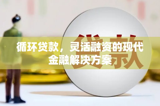 沙坡头循环贷款，灵活融资的现代金融解决方案