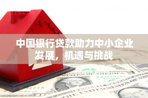 沙坡头中国银行贷款助力中小企业发展，机遇与挑战