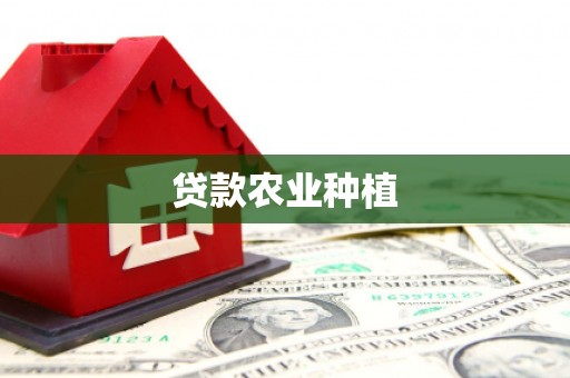 沙坡头贷款农业种植