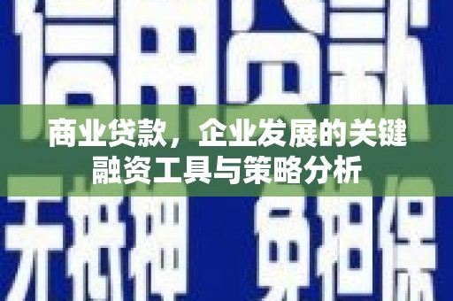 沙坡头商业贷款，企业发展的关键融资工具与策略分析