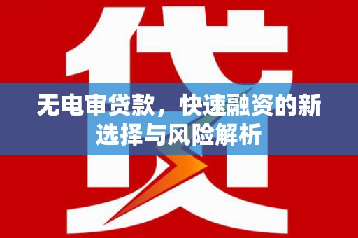 沙坡头无电审贷款，快速融资的新选择与风险解析