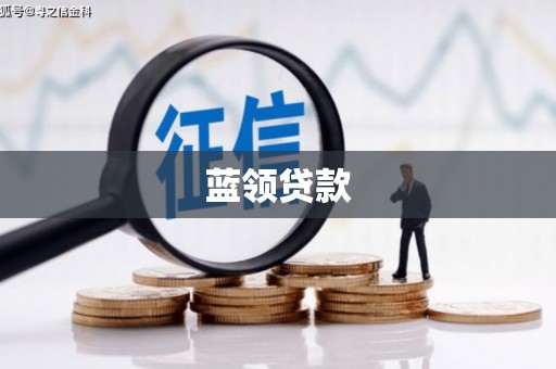 沙坡头蓝领贷款