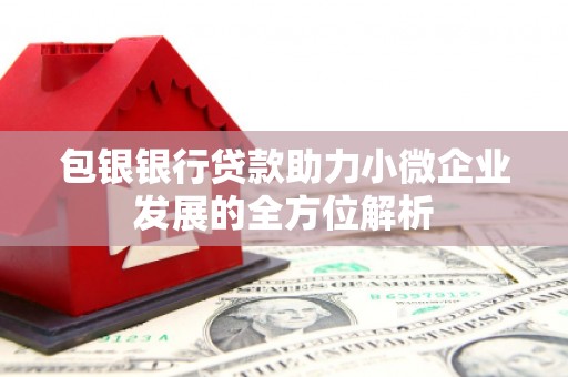 沙坡头包银银行贷款助力小微企业发展的全方位解析