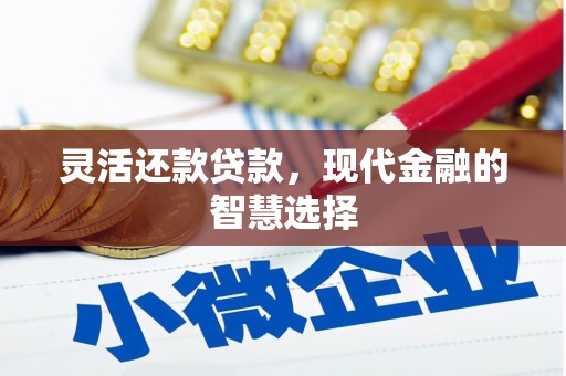 沙坡头灵活还款贷款，现代金融的智慧选择