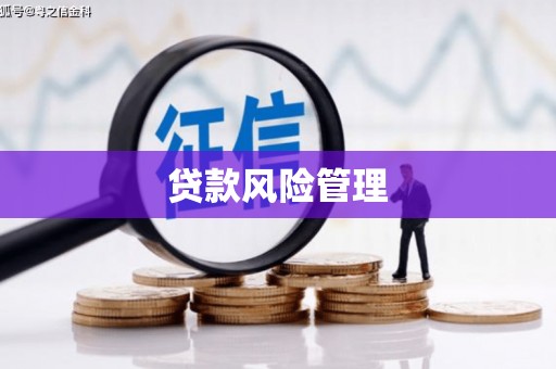 沙坡头贷款风险管理