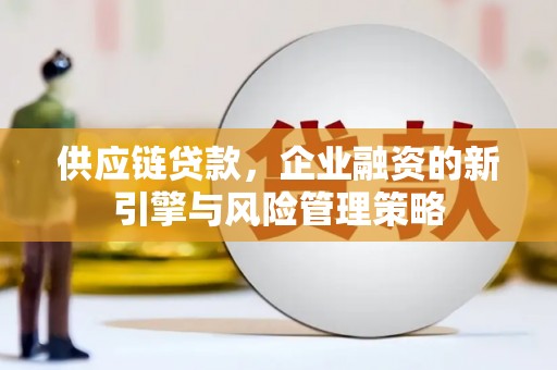 沙坡头供应链贷款，企业融资的新引擎与风险管理策略