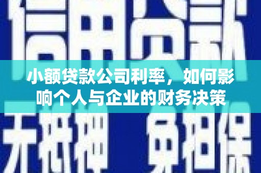 沙坡头小额贷款公司利率，如何影响个人与企业的财务决策