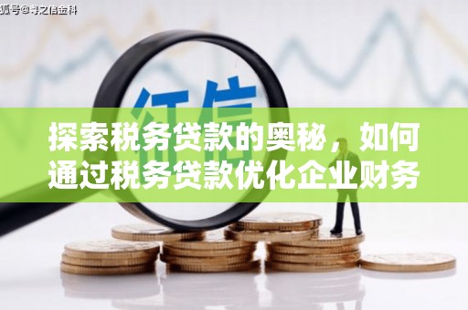 沙坡头探索税务贷款的奥秘，如何通过税务贷款优化企业财务