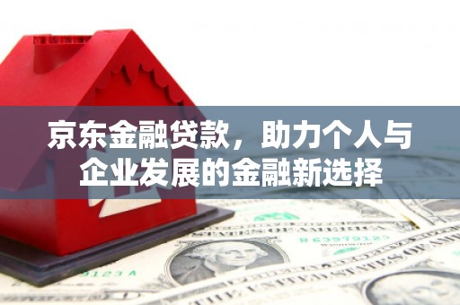 沙坡头京东金融贷款，助力个人与企业发展的金融新选择