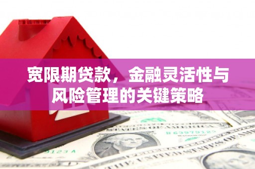 沙坡头宽限期贷款，金融灵活性与风险管理的关键策略