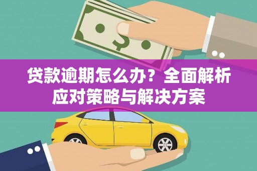 沙坡头贷款逾期怎么办？全面解析应对策略与解决方案