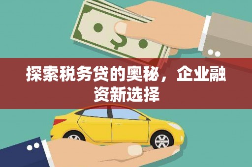 沙坡头探索税务贷的奥秘，企业融资新选择