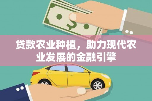 沙坡头贷款农业种植，助力现代农业发展的金融引擎
