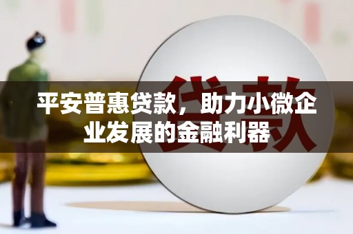 沙坡头平安普惠贷款，助力小微企业发展的金融利器