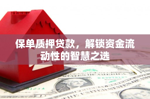 沙坡头保单质押贷款，解锁资金流动性的智慧之选