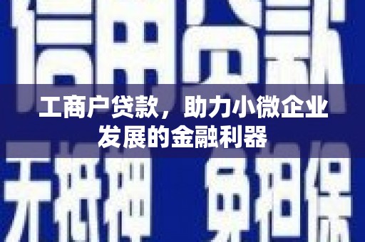 沙坡头工商户贷款，助力小微企业发展的金融利器