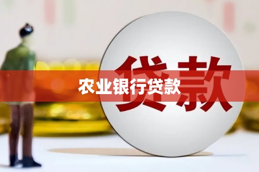 沙坡头农业银行贷款
