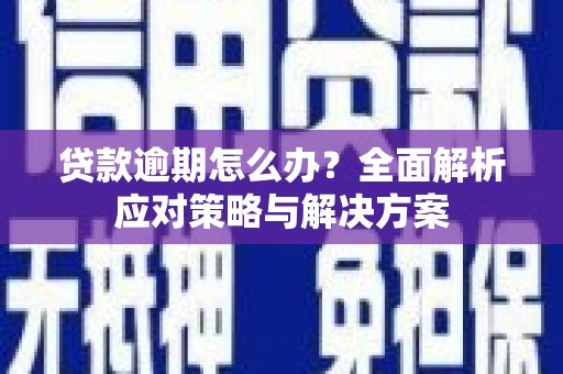 沙坡头贷款逾期怎么办？全面解析应对策略与解决方案