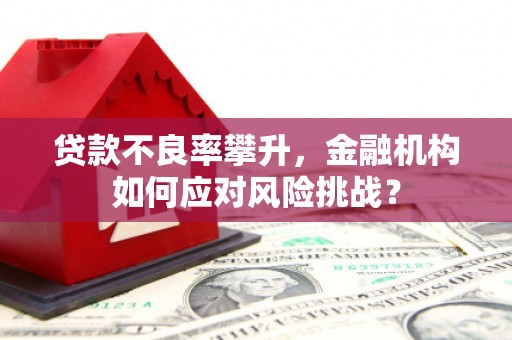 沙坡头贷款不良率攀升，金融机构如何应对风险挑战？