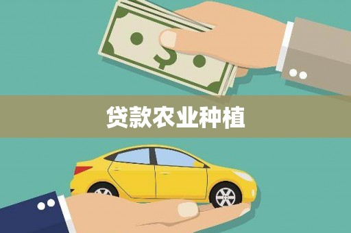 沙坡头贷款农业种植