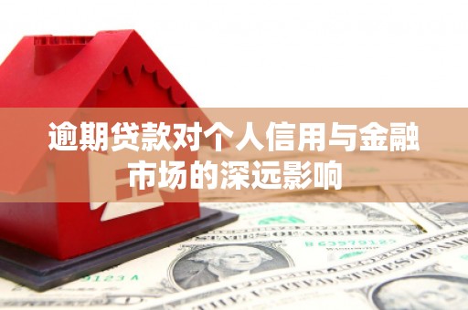 沙坡头逾期贷款对个人信用与金融市场的深远影响
