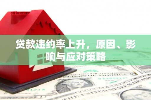 沙坡头贷款违约率上升，原因、影响与应对策略