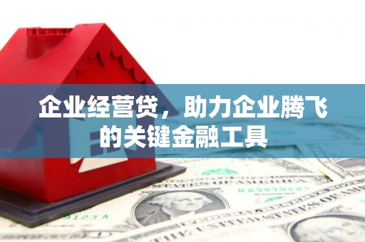 沙坡头企业经营贷，助力企业腾飞的关键金融工具