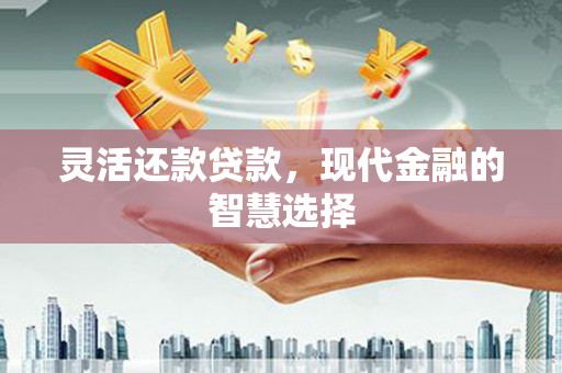 沙坡头灵活还款贷款，现代金融的智慧选择