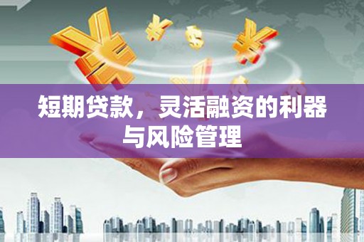 沙坡头短期贷款，灵活融资的利器与风险管理