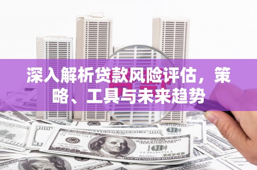沙坡头深入解析贷款风险评估，策略、工具与未来趋势