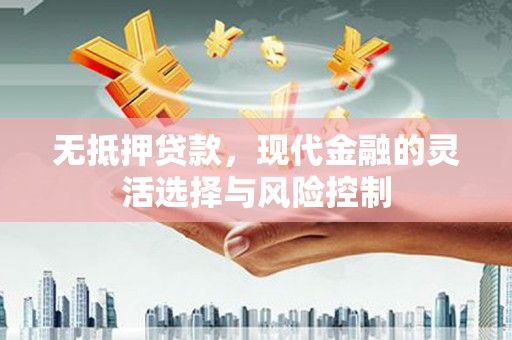 沙坡头无抵押贷款，现代金融的灵活选择与风险控制