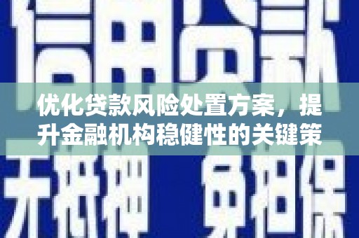沙坡头优化贷款风险处置方案，提升金融机构稳健性的关键策略