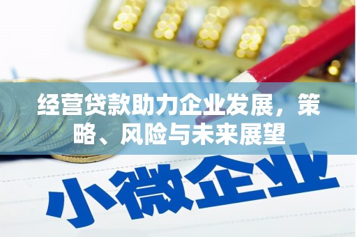 沙坡头经营贷款助力企业发展，策略、风险与未来展望