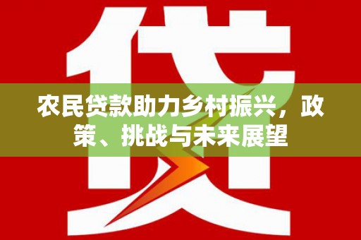 沙坡头农民贷款助力乡村振兴，政策、挑战与未来展望