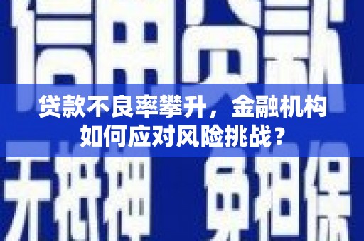 沙坡头贷款不良率攀升，金融机构如何应对风险挑战？