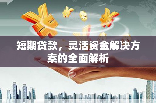沙坡头短期贷款，灵活资金解决方案的全面解析