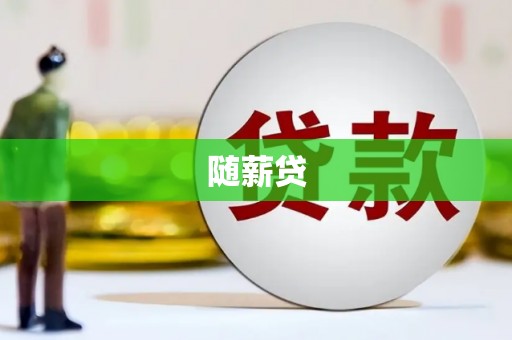 沙坡头随薪贷
