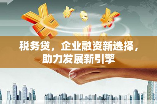 沙坡头税务贷，企业融资新选择，助力发展新引擎