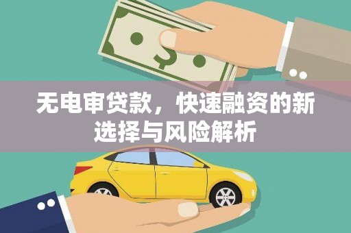 沙坡头无电审贷款，快速融资的新选择与风险解析