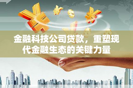 沙坡头金融科技公司贷款，重塑现代金融生态的关键力量