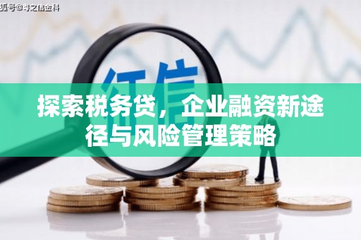 沙坡头探索税务贷，企业融资新途径与风险管理策略