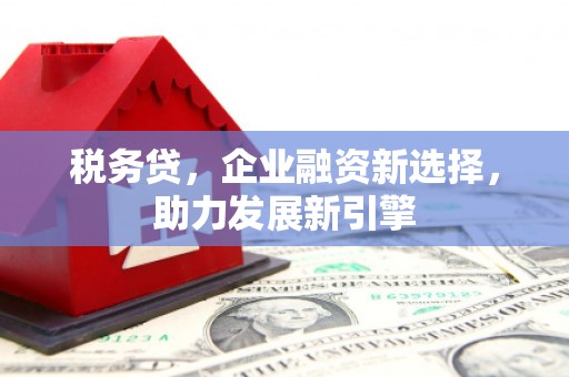 沙坡头税务贷，企业融资新选择，助力发展新引擎